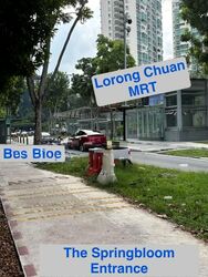 The Springbloom (D19), Condominium #589889481